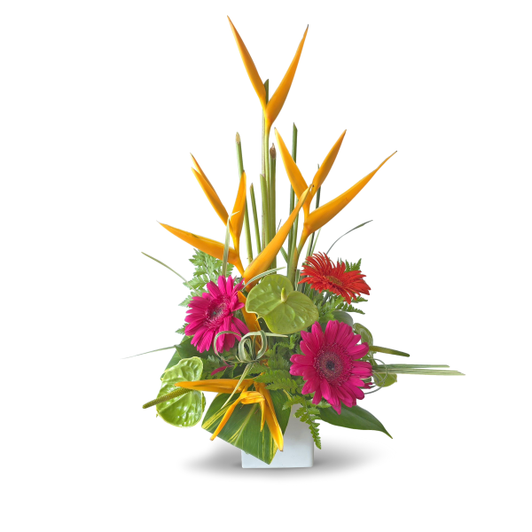 Exotic Bloom Arrangement