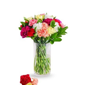 Multicolour Carnations