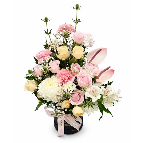 Coffret floral pastel avec roses rose poudré, roses crème, anthurium rose et fleurs blanches – SmileMauritius Coffret floral pastel avec roses rose poudré, roses crème, anthurium rose et fleurs blanches – SmileMauritius