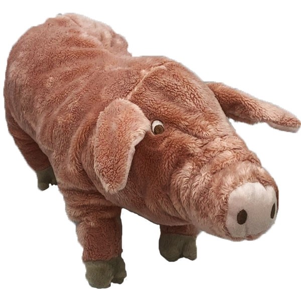 Pink Piggy