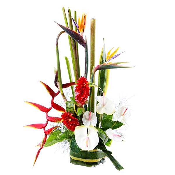 Ikebana